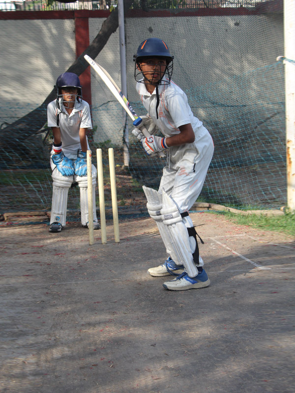 Cricket2