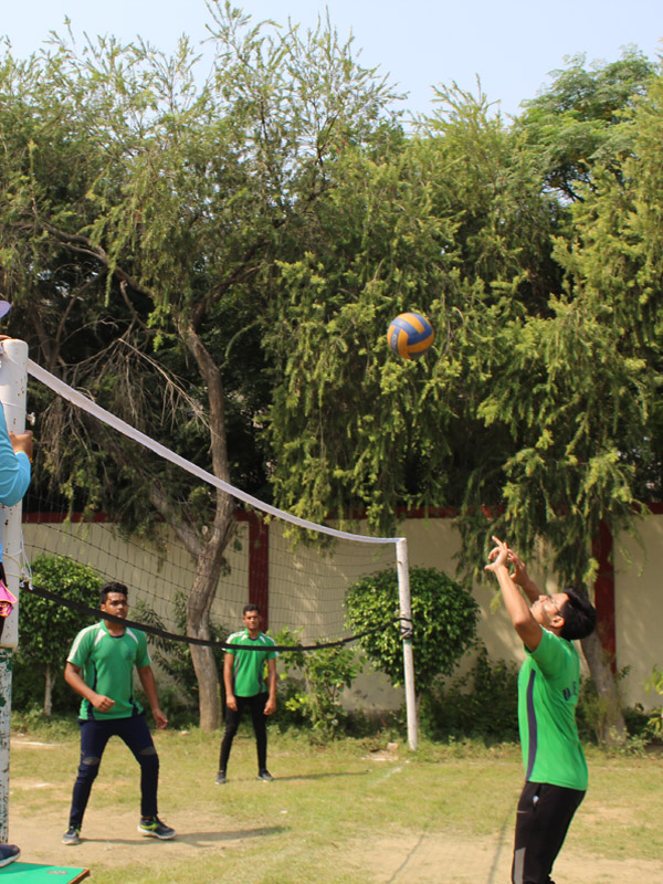 Volleyball Photo1