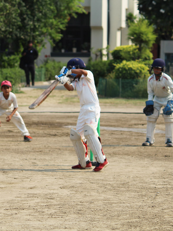 Cricket Photo3